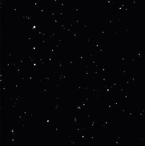 Meet your Posher, Alexander